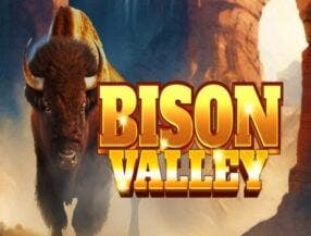 Bison Valley